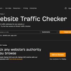 Website Traffic Checker