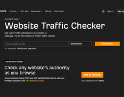 Website Traffic Checker