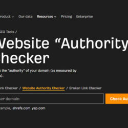 Website Authority Checker
