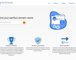BlueStarDomains