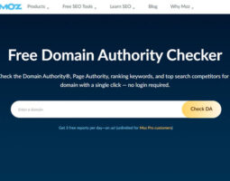 Domain Authority Checker